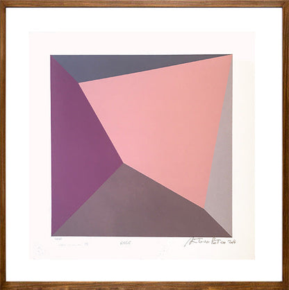 Rose // Antonio Peticov