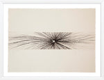 Azimuth // Jacqueline Aronis