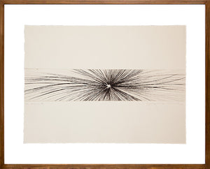 Azimuth // Jacqueline Aronis