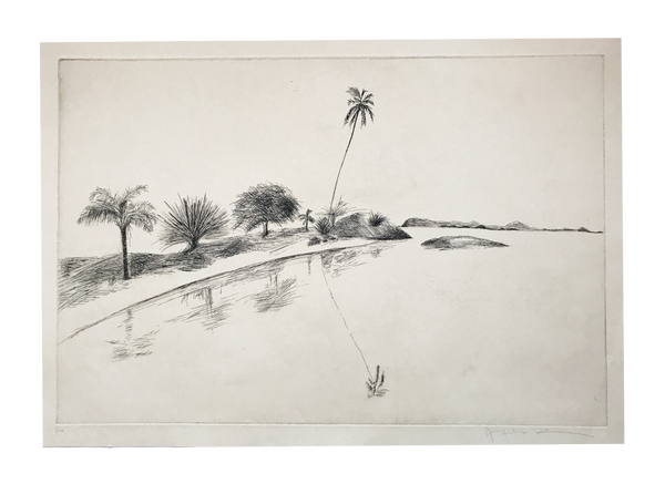 Rio // Jacqueline Aronis
