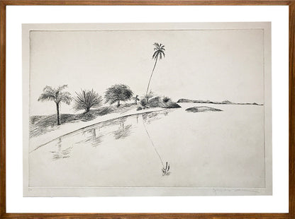 Rio // Jacqueline Aronis