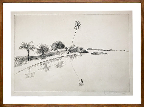 Rio // Jacqueline Aronis