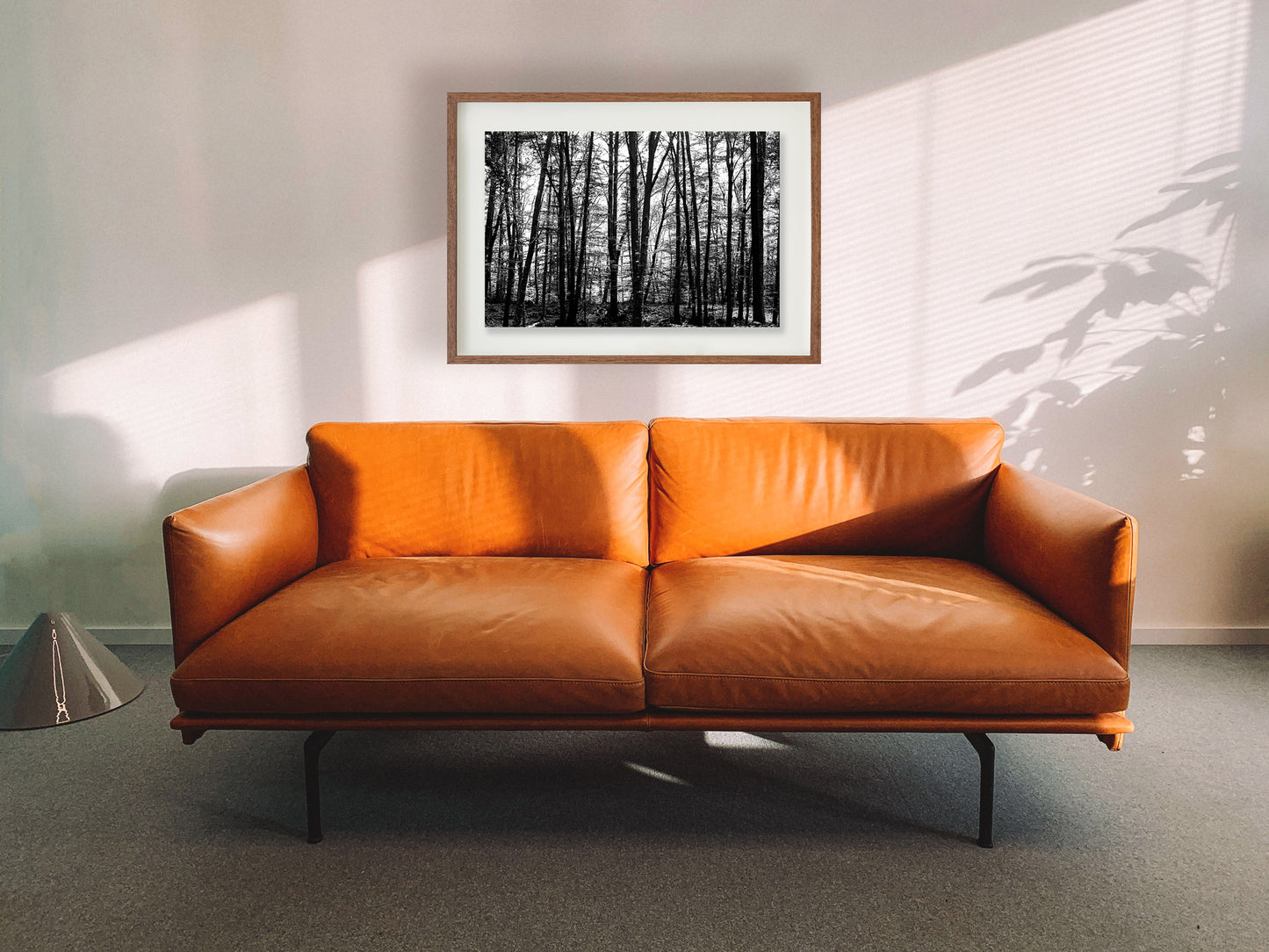 La Fageda 1 // Eleonora Aronis