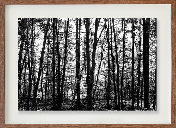 La Fageda 1 // Eleonora Aronis