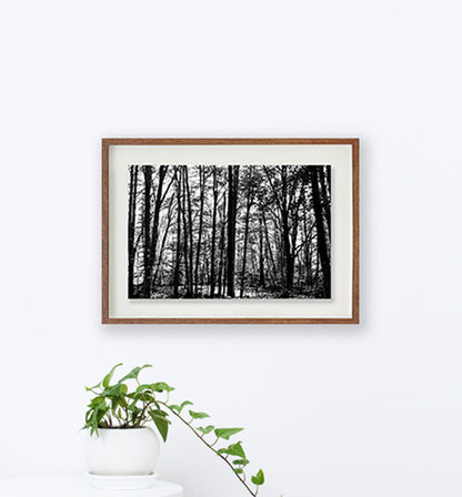 La Fageda 2 // Eleonora Aronis