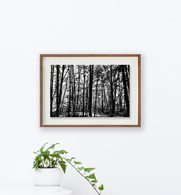 La Fageda 2 // Eleonora Aronis