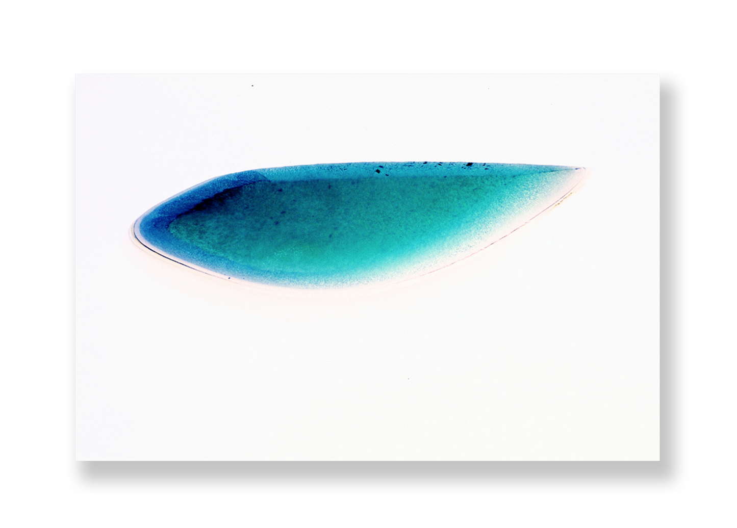 Lagoa IV // Eleonora Aronis